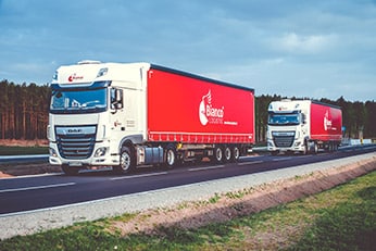 Bianco Logistic - International transport to Portugal. 